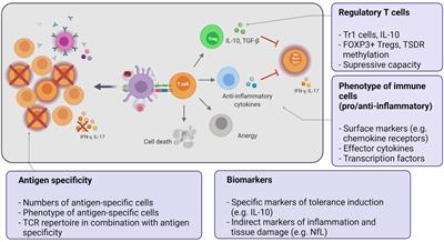 Mechanistic and Biomarker Studies to Demonstrate Immune Tolerance in Multiple Sclerosis